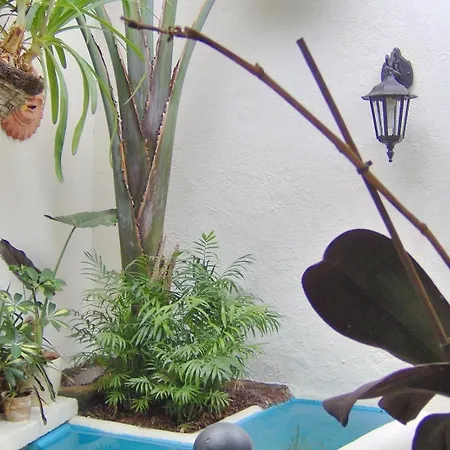 Aptos Monasterio De San Antonio 7 شقة